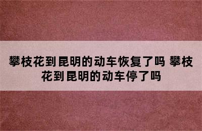 攀枝花到昆明的动车恢复了吗 攀枝花到昆明的动车停了吗